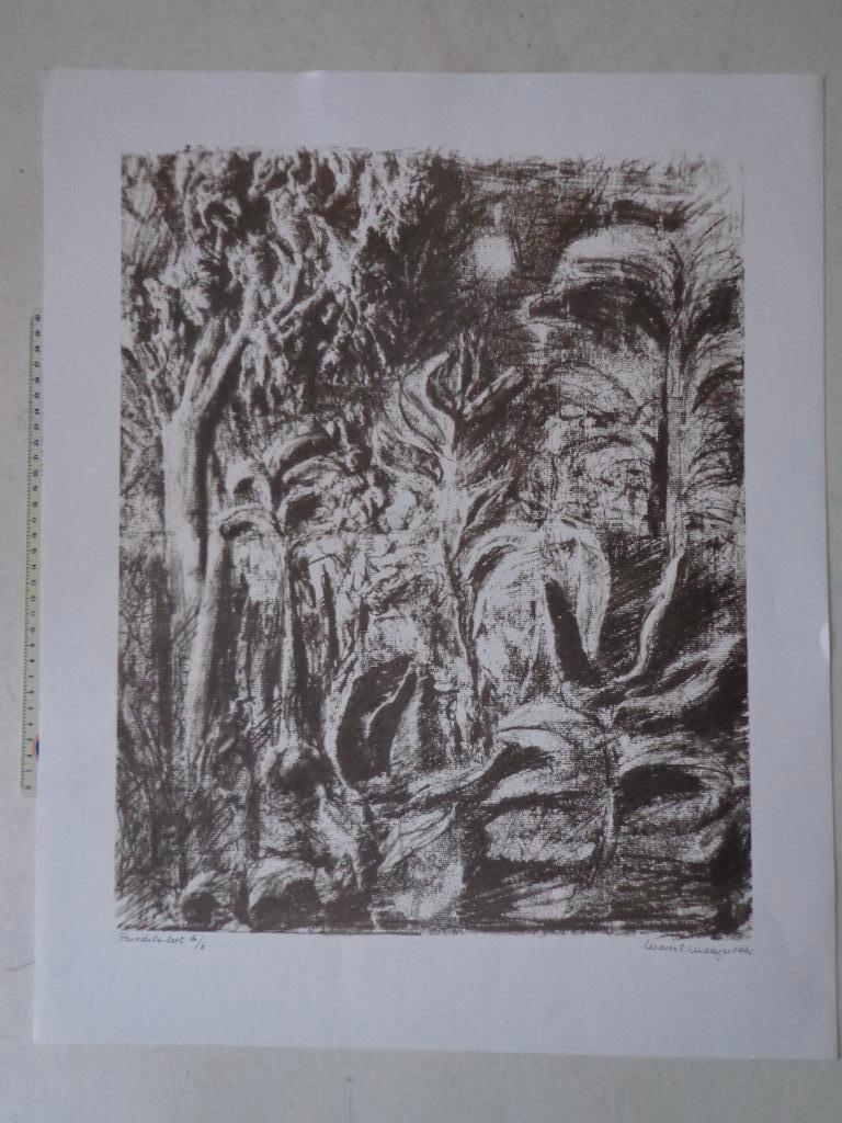 litho van Marcel Maeyer "Paradise lost" uit 1996, Antiek en Kunst, Ophalen of Verzenden