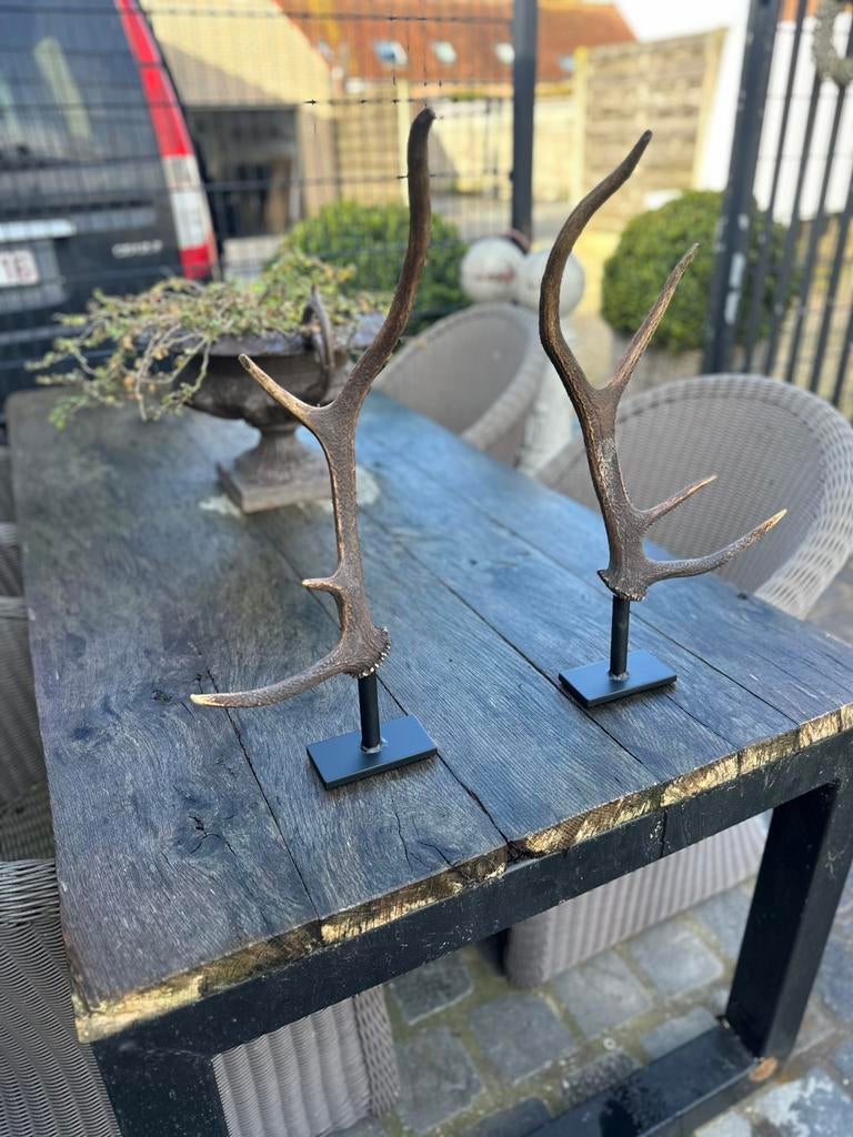 Gewei op statief, Enlèvement