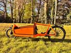 Bakfiets Larry vs Harry, original Bullitt, Enlèvement, Comme neuf, Autres marques