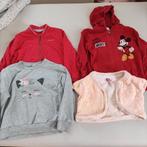 Sweater-vest set 4-5 jaar, Kinderen en Baby's, Kinderkleding | Maat 104, Ophalen of Verzenden, Gebruikt, Meisje, Trui of Vest