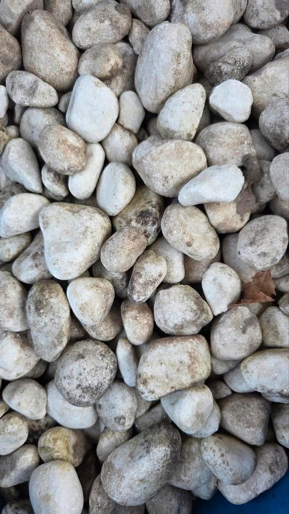 Gratis witte sierstenen, Tuin en Terras, Grind, Keien en Split, Ophalen