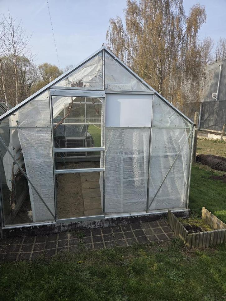 Tuinserre te koop, Tuin en Terras, Kassen, Gebruikt, Kweekkas, Aluminium, Glas, Ophalen