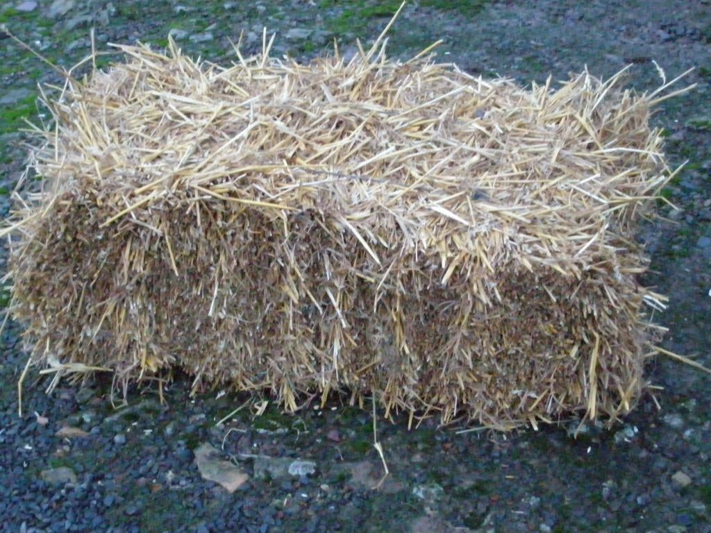 Kleine balen stro 2025 te koop, Ophalen, Overige soorten