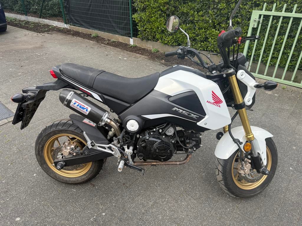 Honda MSX 125cc, Motos, Motos | Honda, Particulier, Naked bike, jusqu'à 11 kW, Permis Moto A1 minimum, Échappement sport, Manuelle