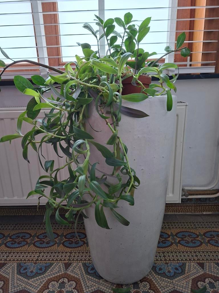 Jarre en terre cuite émaillée blanche, Jardin & Terrasse, Bacs à fleurs & Jardinières, Rond, Comme neuf, Enlèvement, Autres matériaux