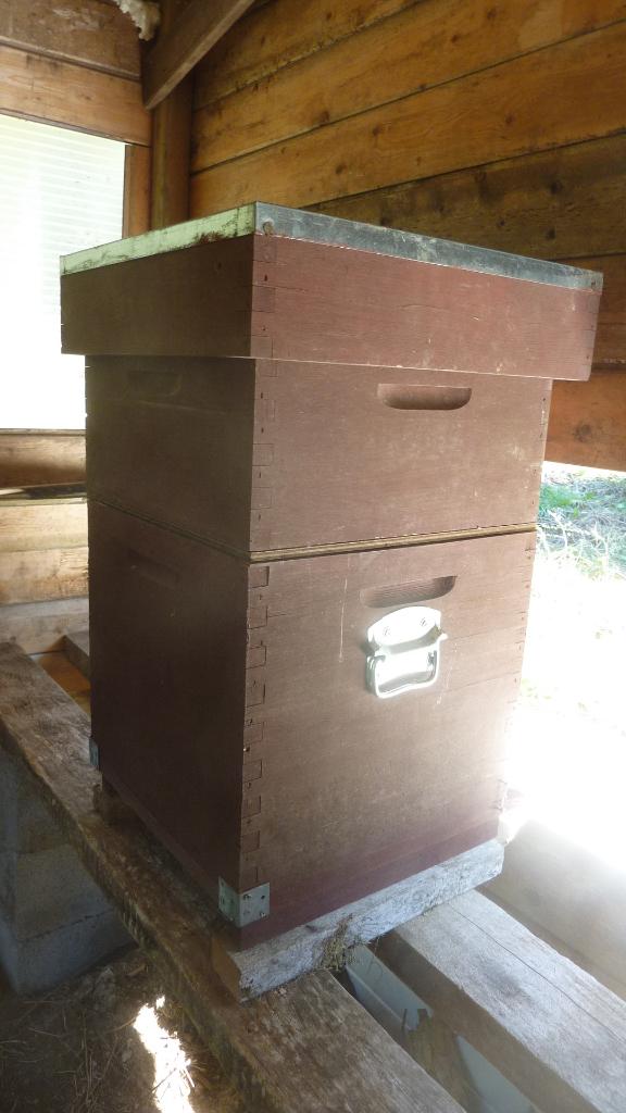 Essaim 2ans + ruche Voirnot complète, Enlèvement