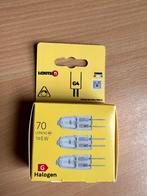 Ampoules led, Enlèvement, Neuf, LED