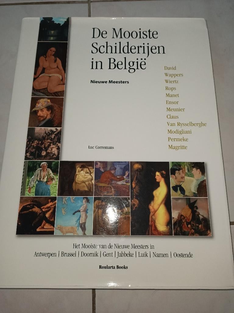 De mooiste schilderijen in België - nieuwe meesters, Ophalen, Zo goed als nieuw