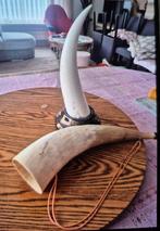 Klaxons, Enlèvement