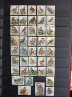 Lot de 41 timbres-poste oiseaux Buzin, Enlèvement ou Envoi, Affranchi, Autre, Avec timbre