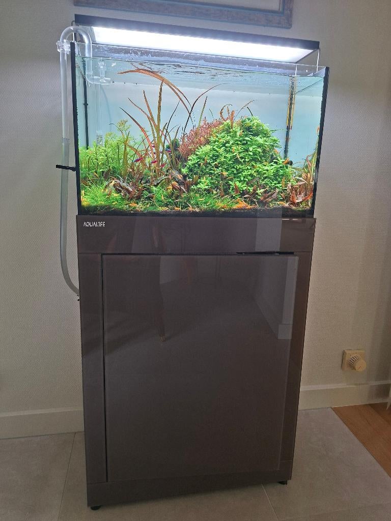 Aquarium + meubel, Ophalen, Zo goed als nieuw, Overige typen, Overige merken