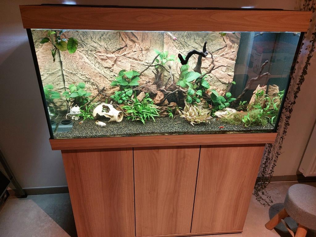 Juwel rio 350, Dieren en Toebehoren, Ophalen