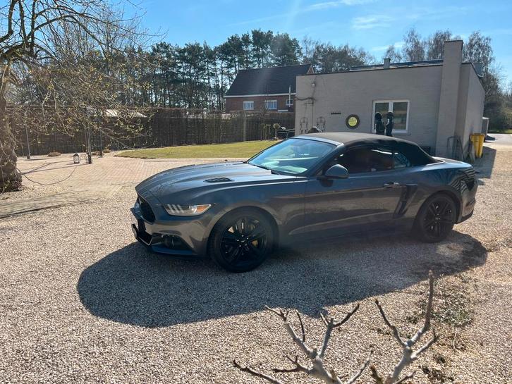 Ford mustang 2018 cabrio 48.000km, Autos, Ford, Particulier, Mustang, Caméra de recul, Essence, Euro 6, Cabriolet, Automatique