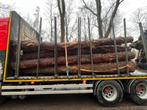 Stamhout Den, Tuin en Terras, Brandhout, 6 m³ of meer, Ophalen, Overige houtsoorten, Stammen