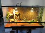 Groot terrarium 120x61x51 cm, Dieren en Toebehoren, Ophalen, Terrarium of Paludarium