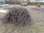 Takjes (kleinhout) kersenboom GRATIS, Branches, Autres essences de bois, Enlèvement, Moins de 3 m³