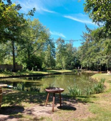 vissen gezocht voor grote natuurvijver, Dieren en Toebehoren, Overige soorten