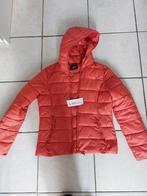 Damens jas orange Maat Small, Ophalen of Verzenden, Zo goed als nieuw, Maat 36 (S)