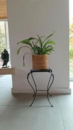 Vintage tafeltje, Ophalen