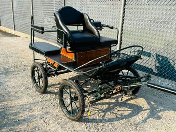 Koets 16 inch ( shetlanders/pony’s ) beschikbaar voor biedingen