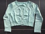 Vestje maat 116, Ophalen of Verzenden, Zo goed als nieuw, Meisje, Trui of Vest