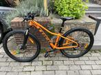 Vélo orange cool pour garçons de Trek : Marlin 5 2021, Vitesses, 26 pouces ou plus, Enlèvement, Utilisé