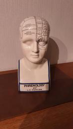 Phrenology Head – L.N. Fowler j, Ophalen of Verzenden, Zo goed als nieuw, Mens