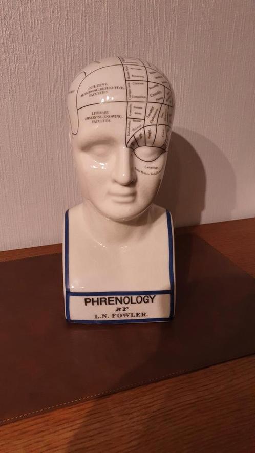 Phrenology Head – L.N. Fowler j, Verzamelen, Beelden en Beeldjes, Zo goed als nieuw, Mens, Ophalen of Verzenden