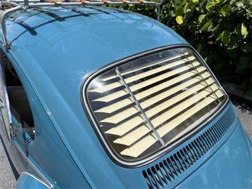 VW Kever achterruitrooster 08/64 - 07/71 Insectenhorren beschikbaar voor biedingen