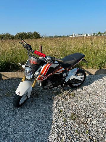 Honda msx125 (181cc) beschikbaar voor biedingen