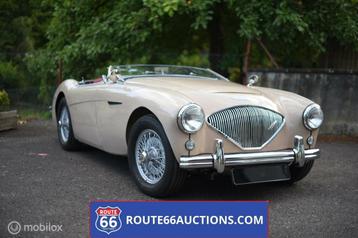 Austin-healey 100 BN1 Cabriolet 1954 | Route 66 Auctions, Autos, Autres marques, Achat, Entreprise, Cabriolet