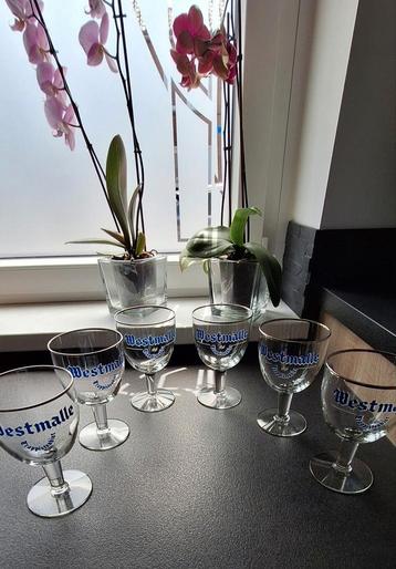 Verres Westmalle  beschikbaar voor biedingen