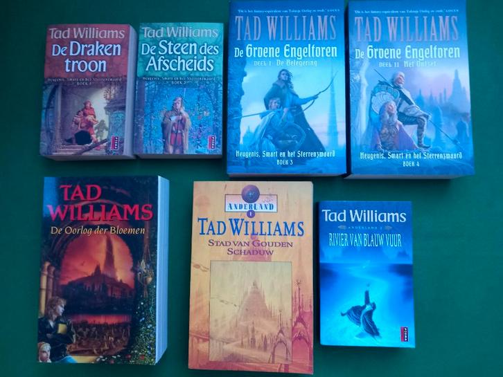 Tad Williams boeken, Boeken, Fantasy, Zo goed als nieuw, Ophalen