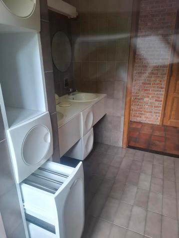 retro badkamer 70 seventies, laatste week beschikbaar  beschikbaar voor biedingen