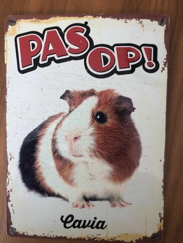Metalen plaat: pas op cavia! NIEUW beschikbaar voor biedingen