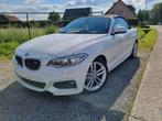 BMW 228I cabrio, Automaat, 4 zetels, Achterwielaandrijving, 4 cilinders