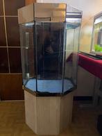 Aquarium GRATIS, Dieren en Toebehoren, Ophalen, Gebruikt, Leeg aquarium