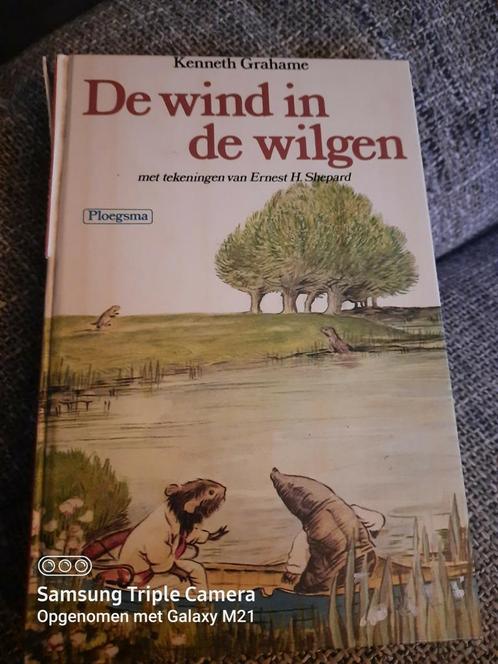De wind in de wilgen., Boeken, Streekboeken en Streekromans, Zo goed als nieuw, Ophalen of Verzenden