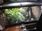 Gifkikker terrarium ., Dieren en Toebehoren, Ophalen, Gebruikt, Verlichting