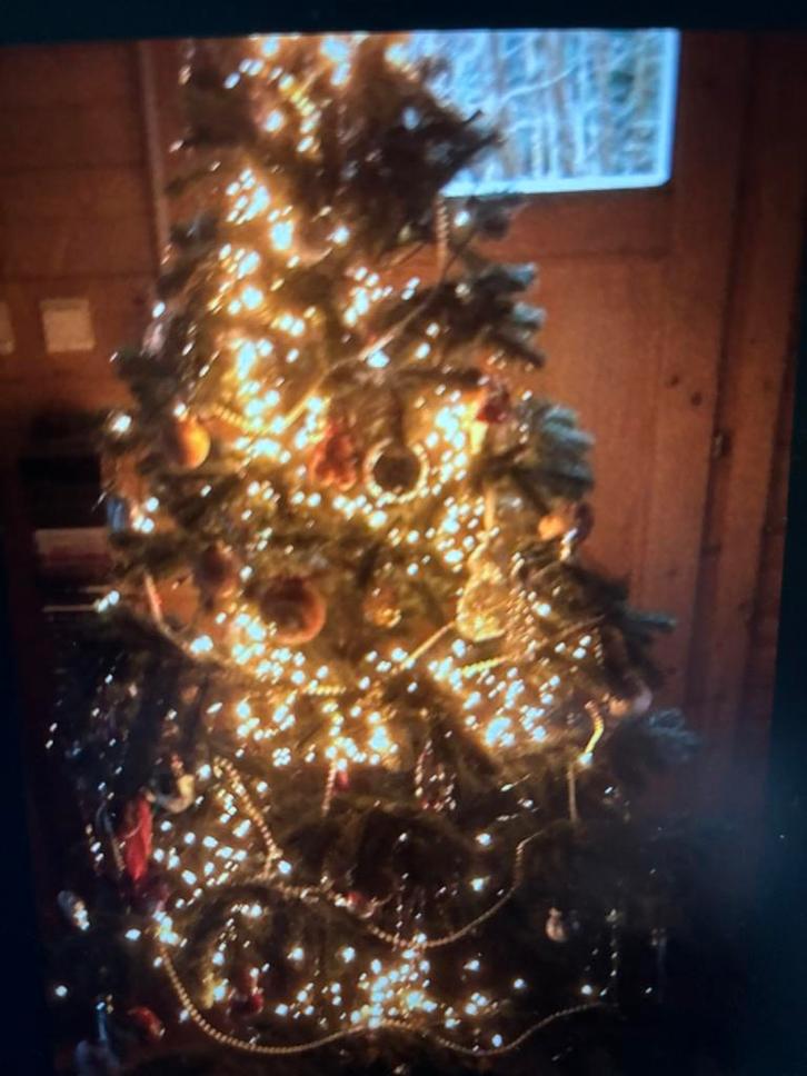 Kerstboom, Diversen, Kerst, Gebruikt, Ophalen