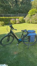 Electrische fiets giant, Fietsen en Brommers, Ophalen, Giant