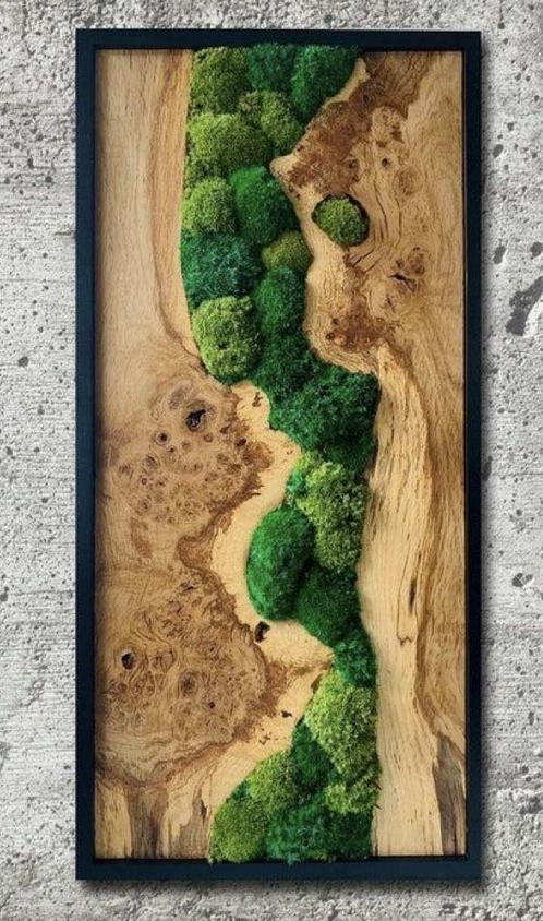 Unieke stukkuns olijfhout om u eigen mos schilderij te maken, Huis en Inrichting, Woonaccessoires | Schilderijen, Tekeningen en Foto's