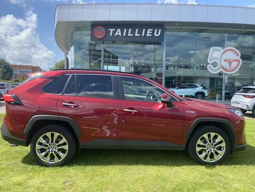 Toyota RAV-4 Premium Plus, Auto's, Toyota, Bedrijf, Rav4, Adaptive Cruise Control, Airbags, Airconditioning, Alarm, Bluetooth
