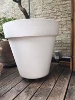Hele grote witte (in PVC) pot voor planten merk Elho, Tuin en Terras, Ophalen, Kunststof, Gebruikt, Rond