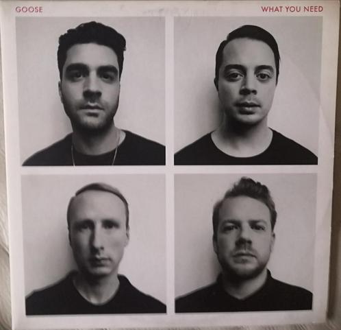 Goose - What You Need / LP Album, Electro  Nieuw met poster!, CD & DVD, Vinyles | Autres Vinyles, Neuf, dans son emballage, Autres formats