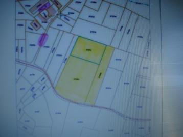 Terre agricole, Immo, Flobecq, 1500 m² ou plus