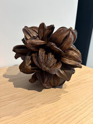 Fruit de palmier nipa beschikbaar voor biedingen