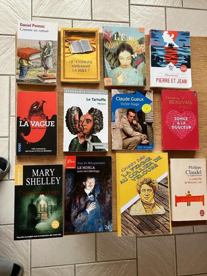 roman, Boeken, Romans, Gelezen, Europa overig, Ophalen of Verzenden