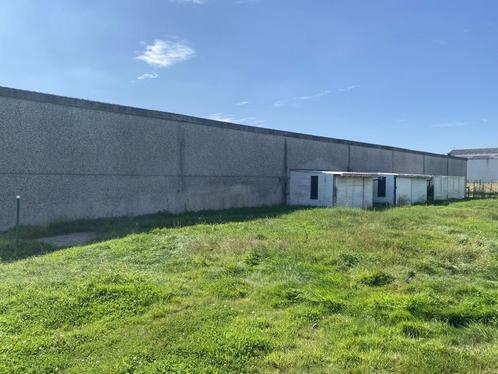 Stalling en weidegang beschikbaar voor te huren, Dieren en Toebehoren, Stalling en Weidegang, Stalling, Weidegang