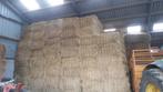 Hooi te koop, Zakelijke goederen, Landbouw | Veevoer, Ophalen